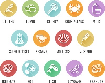 Food allergy icons including the 14 allergies outlined by the EU Food Information for Consumers Regulation EFSA European Food Safety Authority Annex II which encompass the big 8 FDA Major Allergens Food allergy icons including the 14 allergies outlined by the EU Food Information for Consumers Regulation EFSA European Food Safety Authority Annex II which encompass the big 8 FDA Major Allergens